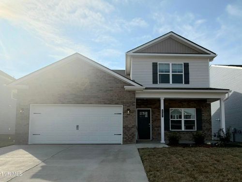 237 Chimney View Loop, Blountville, TN, 37617 | Card Image