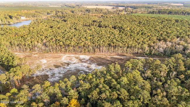 Aerial View | Image 15