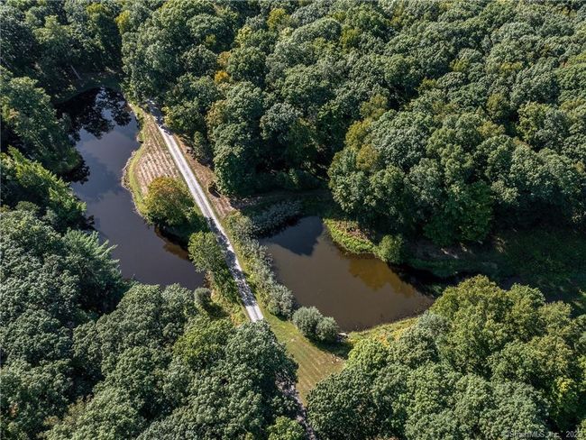 Driveway winds between 2 Ponds | Image 25