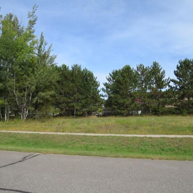 locust-lot1 | Image 13