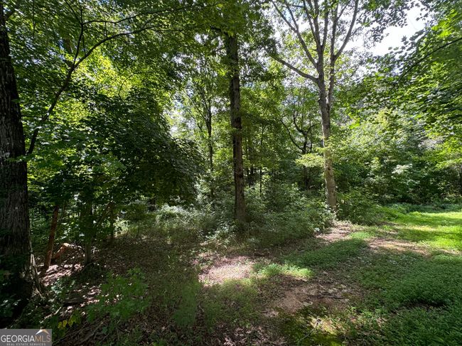 1929 Asbestos Rd, House other with 4 bedrooms, 2 bathrooms and null parking in Sautee Nacoochee GA | Image 36