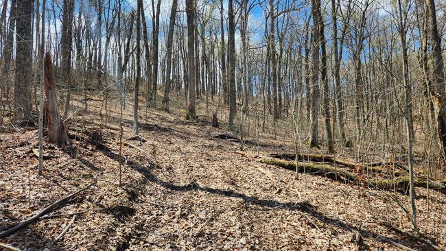 TRACT-1-PIKE-LAKE-GETAWA - 0 Pike Lake Rd, Home with 0 bedrooms, 0 bathrooms and null parking in Bainbridge OH | Image 46