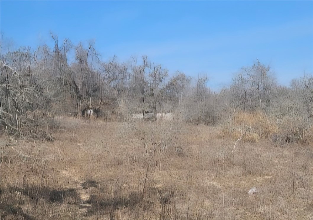 Land in San Antonio