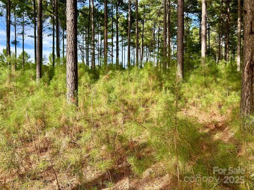 224 Plantation Way, Mount Gilead, NC, 27306 | Card Image