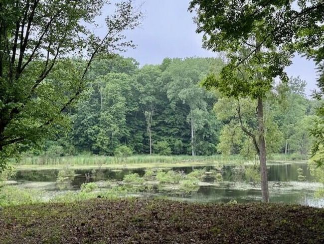 15326 Madron Lake Rd, Home with 0 bedrooms, 0 bathrooms and null parking in Buchanan MI | Image 6