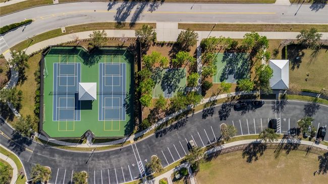 1570 Fox Grape Loop, House other with 3 bedrooms, 2 bathrooms and null parking in LUTZ FL | Image 14