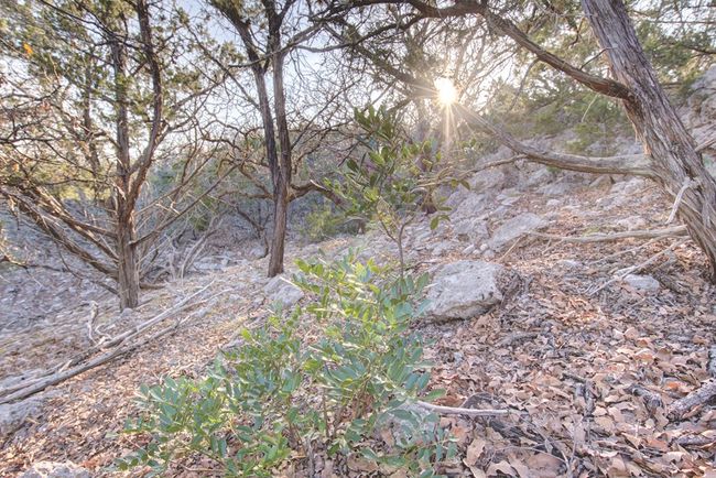 B - 340 River Bend Rd, Home with 0 bedrooms, 0 bathrooms and null parking in Hunt TX | Image 29