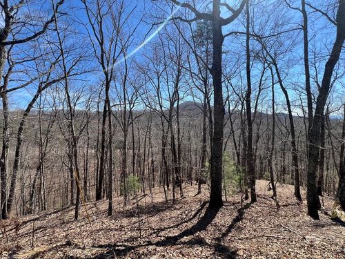 Lot 17 John E Dickey Rd, Murphy, NC, 28906-5321 | Card Image