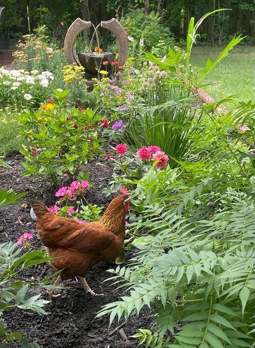 5549 Laurel Ave, La Grange Highlands, IL, 60525-7025 | Card Image