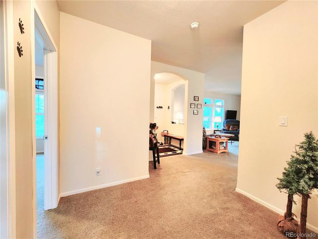 324 Pikeview Ln, House other with 3 bedrooms, 2 bathrooms and null parking in Florissant CO | Image 27
