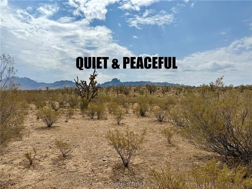 319-08-429 Kingman Drive, Dolan Springs, AZ, 86441 | Card Image