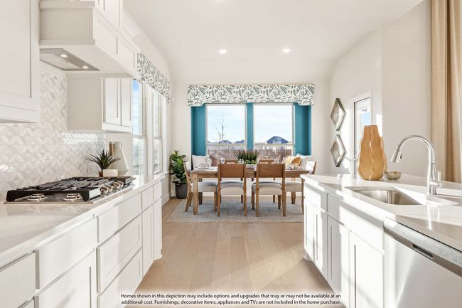 1129 Dove Haven Dr, House other with 4 bedrooms, 4 bathrooms and null parking in Justin TX | Image 8