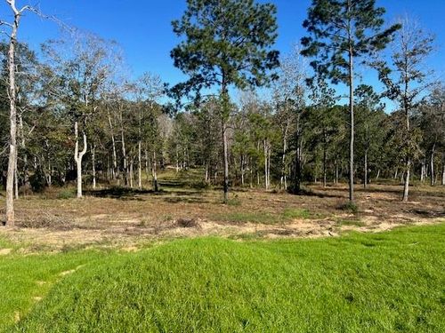 TDB LOT 29 Addison Rd, Livingston, TX, 77351 | Card Image