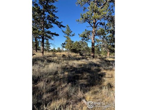 2225 Montcalm Dr, Livermore, CO, 80536-9336 | Card Image