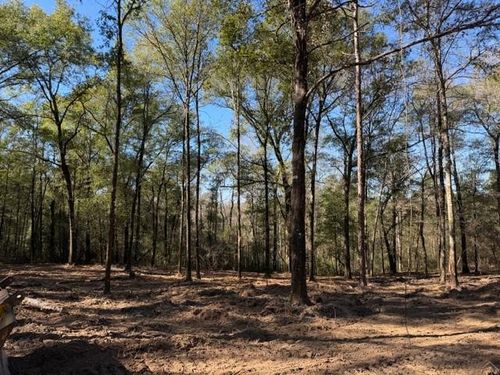 0 Danner Rd, Wilmer, AL, 36587 | Card Image