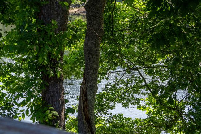 440 Fall Creek Drive #7 (43) | Image 47