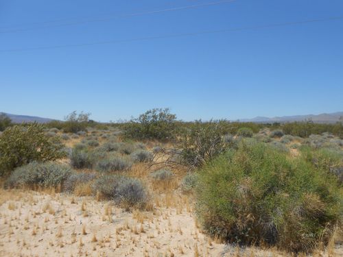 084-264-13 Mercury, Inyokern, CA, 93527 | Card Image