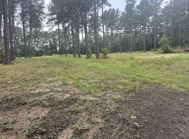 185 Forrest Rd, Home with 0 bedrooms, 0 bathrooms and null parking in Huntington TX | Image 14