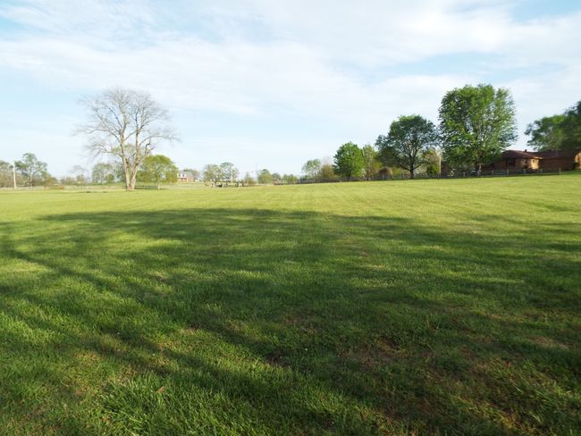 117 Brights Ln, House other with 3 bedrooms, 2 bathrooms and 28 parking in Gallatin TN | Image 34