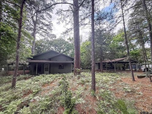 1036 Lake Franklin Dr, Winnsboro, TX, 75494 | Card Image