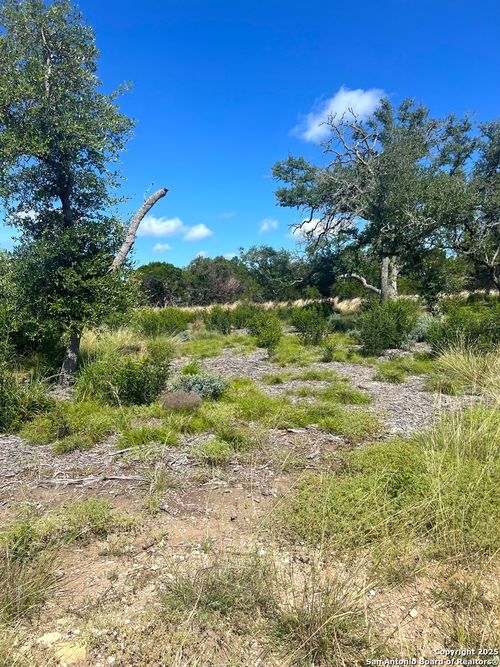 0000 Citadel Dr E, Center Point, TX, 78010 | Card Image