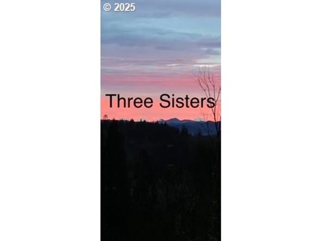32810 Sisters Loop, House other with 3 bedrooms, 2 bathrooms and 2 parking in Eugene OR | Image 45