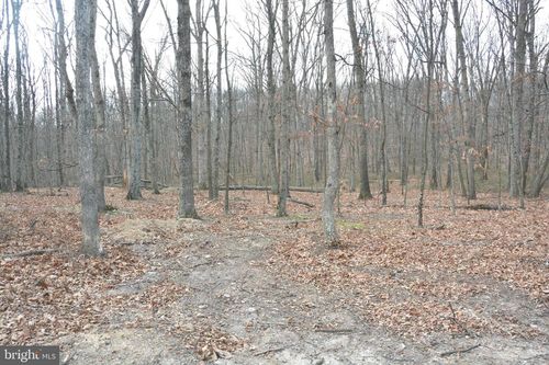 lot-4-60-a-250 Southwood Dr, CROSS JUNCTION, VA, 22625 | Card Image