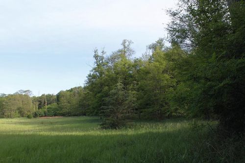 Part lot 2 CSM County Road K, PACKWAUKEE, WI, 53949 | Card Image