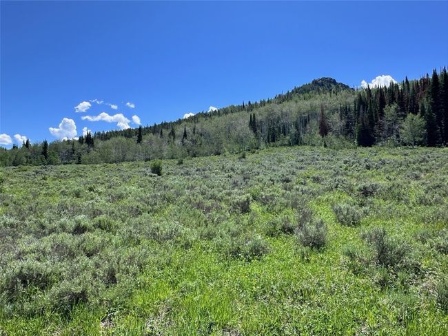 23910 Arapahoe Rd, Home with 0 bedrooms, 0 bathrooms and null parking in Oak Creek CO | Image 18