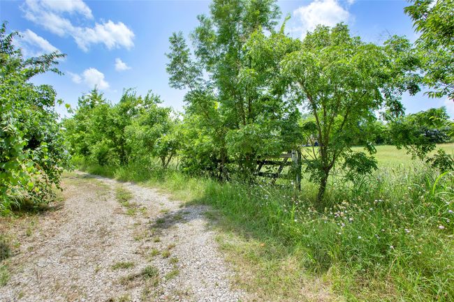 View of nature | Image 12
