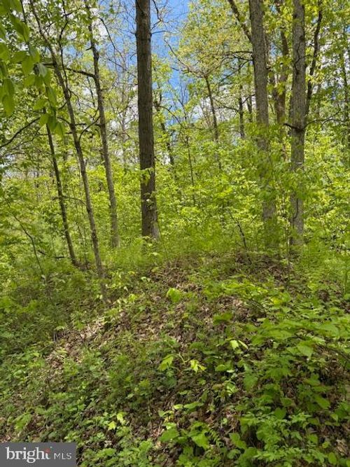 0 Little Wolf Rd, CLARENCE, PA, 16829 | Card Image