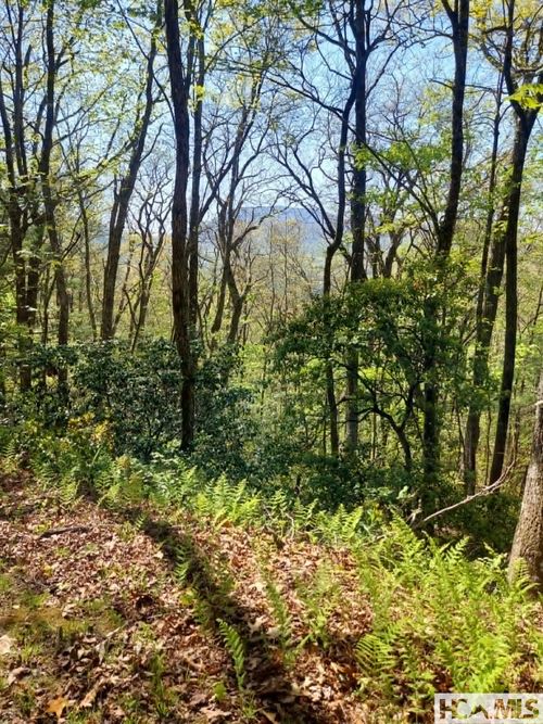 0 Pipetrack Gap Rd, Scaly Mountain, NC, 28775 | Card Image