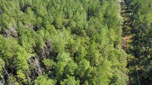 5464a Pecan Orchard Rd, Liberty, MS, 39645 | Card Image