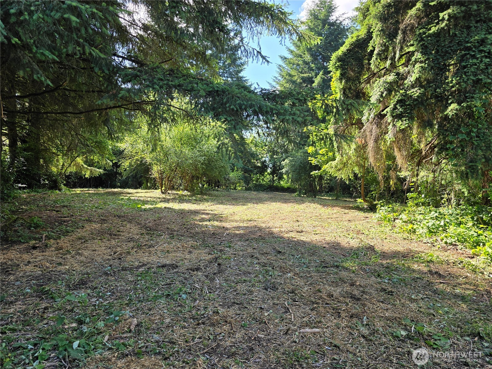 Residential in Tumwater 2