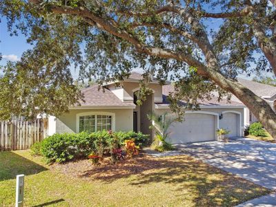 19606 Morden Blush Drive, House other with 4 bedrooms, 2 bathrooms and null parking in Lutz FL | Image 2