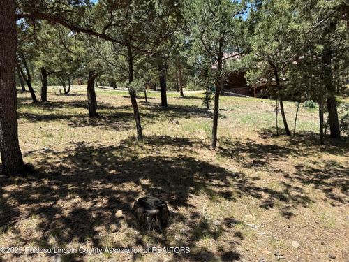 1373 High Mesa Rd, Alto, NM, 88312-8023 | Card Image