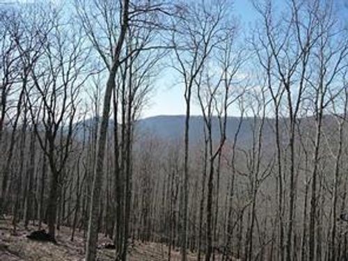 101 Deer Run, Big Canoe, GA, 30143-8918 | Card Image