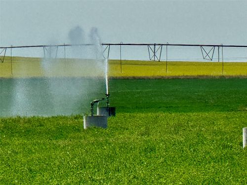 NHN 12th Ln Ne, Fort Shaw, MT, 59443 | Card Image