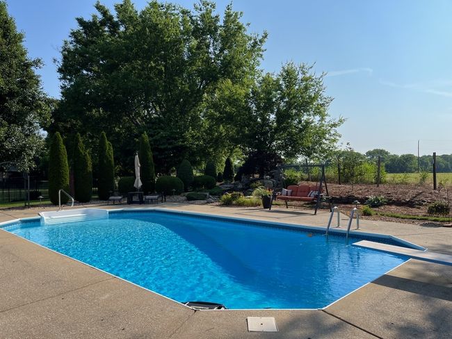 What your yard will look like when everything is in bloom! Photo taken Summer 2023. | Image 39