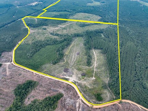 2 Fm 1987, Corrigan, TX, 75939 | Card Image