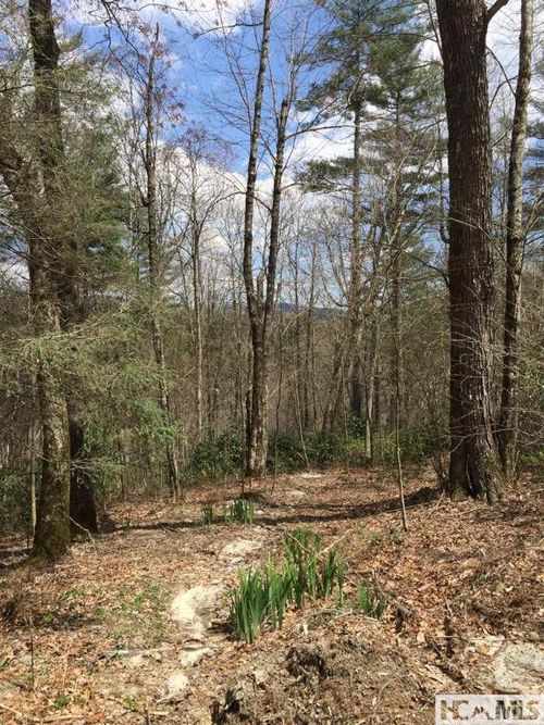 42 Tarragon Dr, Cashiers, NC, 28717 | Card Image