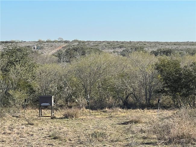 0 Blackbrush Spur, Home with 0 bedrooms, 0 bathrooms and null parking in George West TX | Image 9