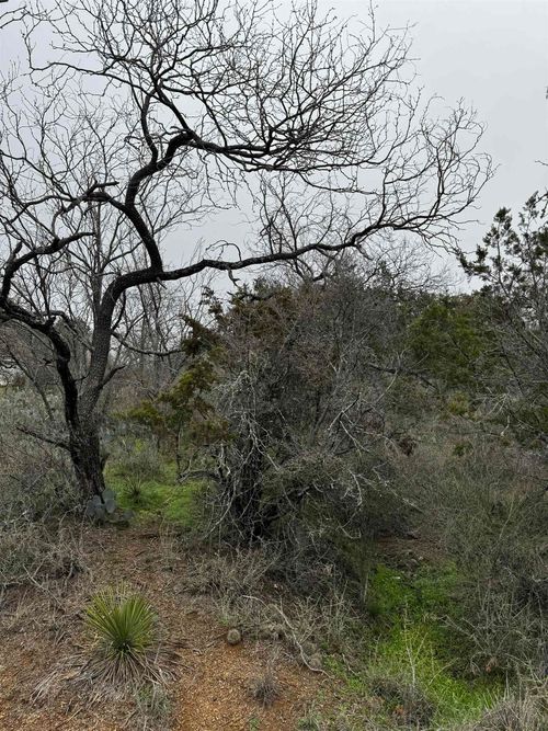 Lot 424 E Castlewood Dr, Granite Shoals, TX, 78654-2308 | Card Image