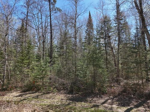 2 S Lake Lawrence Rd Ne, Outing, MN, 56662-6551 | Card Image