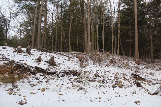 LOT-17 - 000 Wetherbee Farm Rd, Home with 0 bedrooms, 0 bathrooms and null parking in Lisbon NH | Image 9