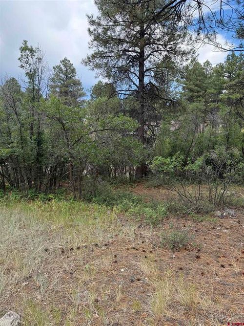 821 Aspenglow Blvd, Pagosa Springs, CO, 81147-9159 | Card Image