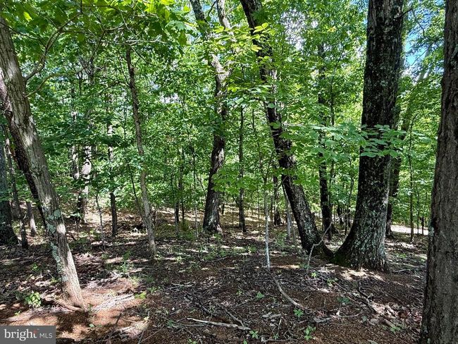 241 Naomi Ln, Home with 0 bedrooms, 0 bathrooms and null parking in Kearneysville WV | Image 16
