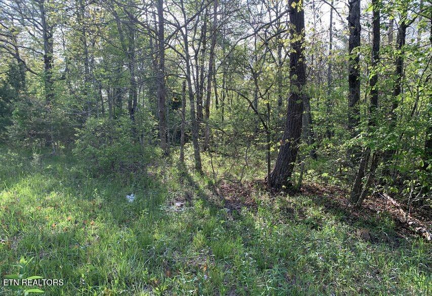 Land in Crossville