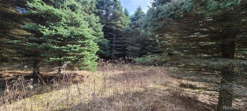 VL Millville Road, Mayfield Township, MI, 48446 | Card Image