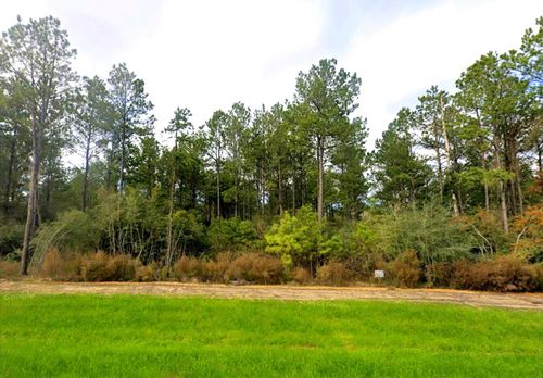 15556 Intrepid Lane, Willis, TX, 77378 | Card Image